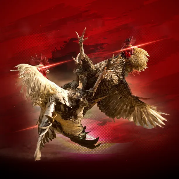 cockfight